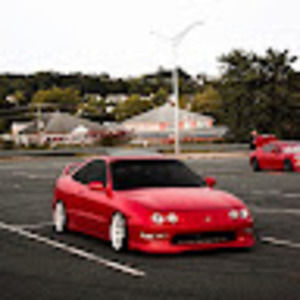 Meet your Posher, Daisy